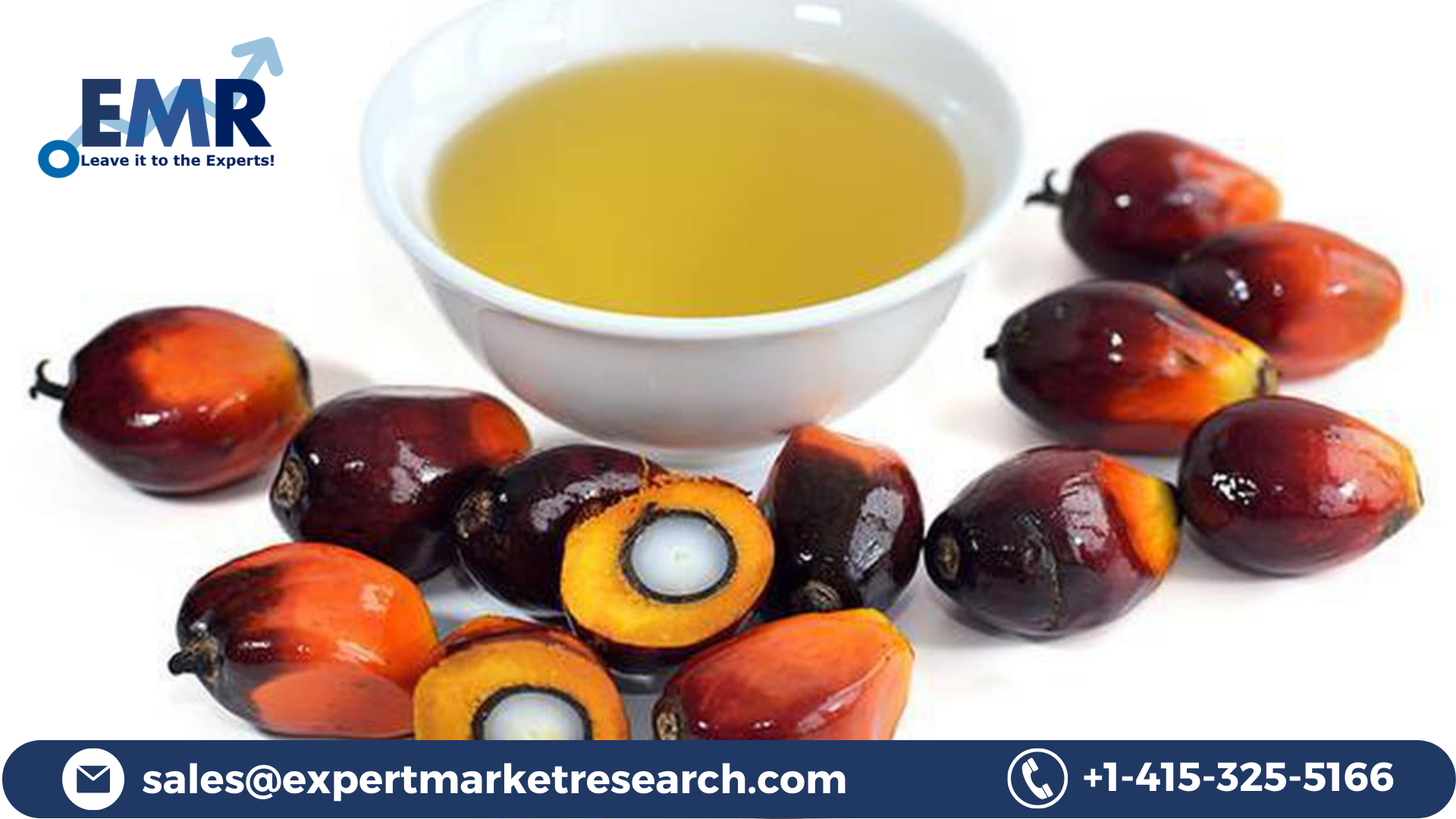 Brazil Palm Oil Market Report 2023-2028