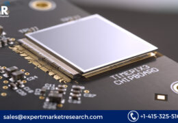 Global CMOS X-Ray Detectors Market Size, Share, Price, Trends, Growth, Report and Forecast 2023-2028