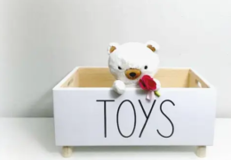 Why Pet Toys Storage Will Be Your Next Big Obsession? 