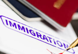 Choosing The Best Immigration Lawyers