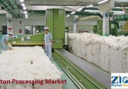 Soft Power Economics: Examining the Economic Impact of Cotton Processing Industry