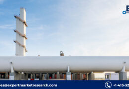 Cryogenic Insulation Market Growth, Price, Size, Share, Trends, Report, Forecast 2023-2028