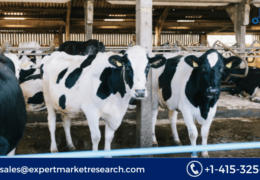 Dairy Herd Management Market Share, Size, Price, Growth, Analysis, Report, Forecast 2023-2028