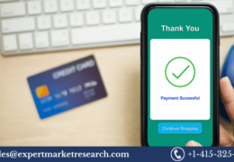 Digital Payment Market Size, Share, Growth, Statistics, Outlook, Report and Forecast 2023-2028