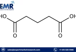 Dodecanedioic Acid Market Report 2023-2028