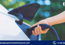 Electric Vehicle Market Price, Size, Share, Trends, Analysis, Report, Forecast 2023-2028