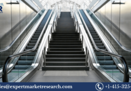Escalators And Elevators Market Size, Share, Demand, Growth, Trends, Analysis, Report and Forecast 2023-2028