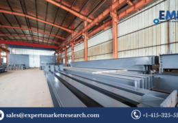 Global Flat Steel Market Share, Growth, Price, Outlook, Report and Forecast Period Of 2023-2028