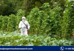 Global Foliar Spray Market Share, Price, Trends, Growth, Analysis, Report, Forecast 2023-2028