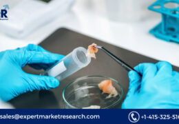 Global Food Safety Testing Market Share, Trends, Growth, Analysis, Report, Forecast 2023-2028