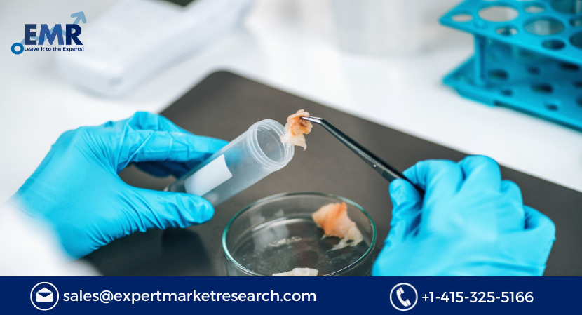 Global Food Safety Testing Market Share, Trends, Growth, Analysis, Report, Forecast 2023-2028