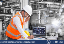 Geochemical Services Market Growth, Size, Share, Price, Report And Forecast 2023-2028