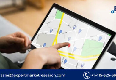 Global Geomarketing Market Size, Share, Price, Trends, Growth, Report and Forecast 2023-2028