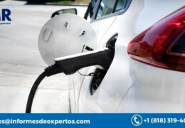 Zero Emission Vehicle Market Report, Growth, Share 2023-2028