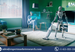 Global Household Robots Market Share, Size, Price, Outlook, Report and Forecast Period Of 2023-2028