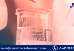 Hydrazine Hydrate Market to be Driven by Rising Demand for Crop Protection Agents in the Forecast Period of 2023-2028