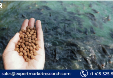 India Aquafeed Market Size, Share, Price, Trends, Growth, Report and Forecast 2023-2028