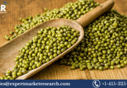Mung Beans Market Size To Grow At A CAGR Of 4% In The Forecast Period Of 2023-2028