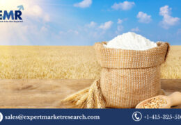 Global Organic Wheat Flour Market Size To Grow At A CAGR Of 4.80% In The Forecast Period Of 2023-2028