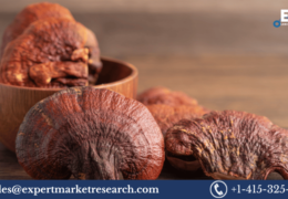 Reishi Mushroom Extract Market Size, Share, Price, Growth, Analysis, Research Report and Forecast 2023-2028
