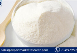 Skim Milk Powder Market Size, Share, Price, Trends, Report and Forecast 2023-2028