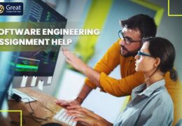 Discuss the Benefits of Learning Software Engineering In The USA