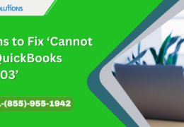 Solutions to Fix ‘Cannot Install QuickBooks Error 1303’