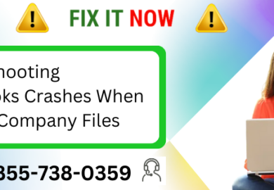 Troubleshooting QuickBooks Crashes When Opening Company Files