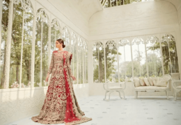 Pakistani Bridal Dresses: Traditional Glamour and Sophistication