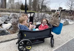 Revolutionizing Family Travel: The Veer Wagon Experience