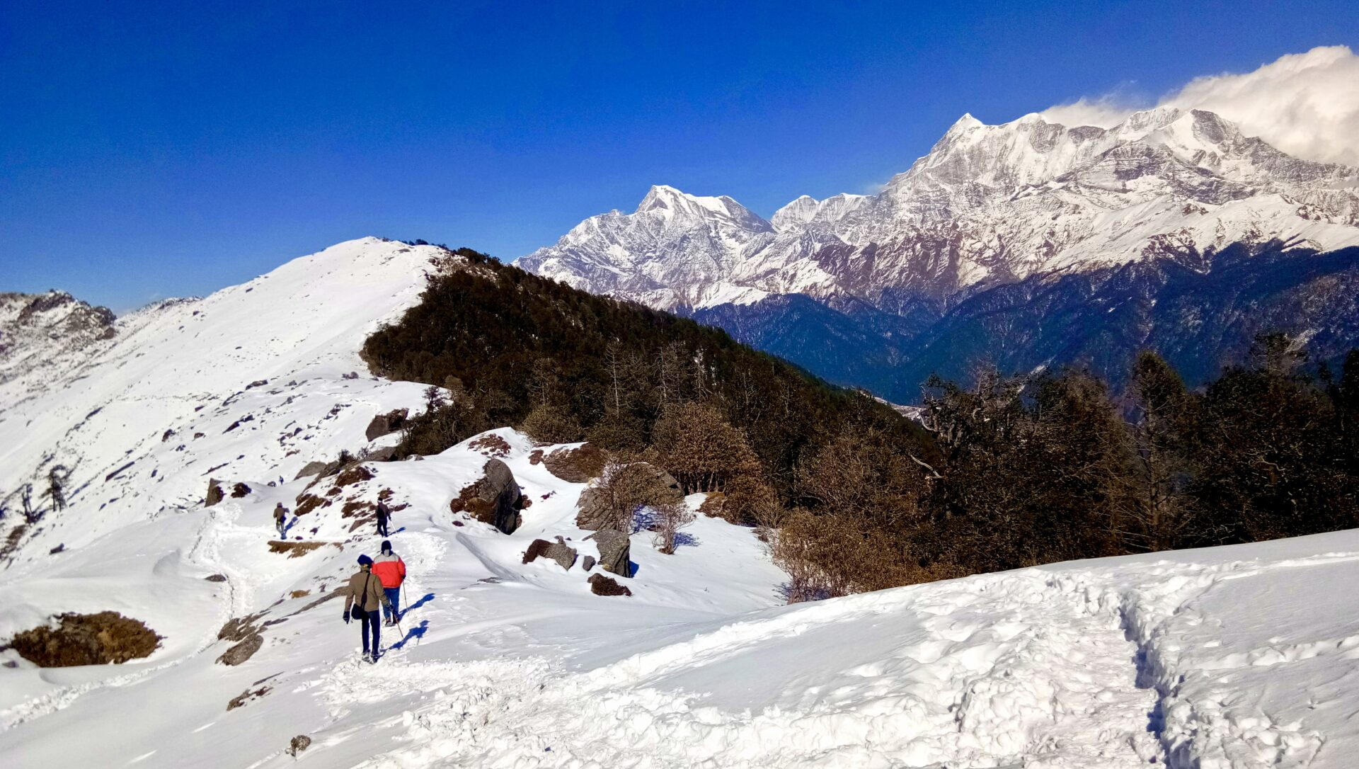 Journey to Kuari Pass: A Gateway to Heaven 