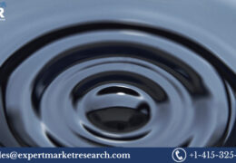 Expert Market Research’s In-Depth Analysis: Naphtha Market Trends, Insights, and Projections