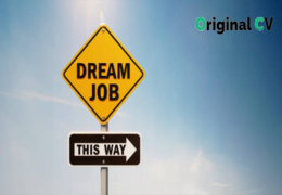 Elevating Your Career with Professional CV Writers