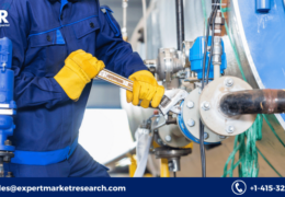 Well Testing Services Market Share, Size, Growth, Analysis, Global Report and Forecast 2023-2028