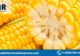 Corn Market Size, Growth, Share, Price 2023-2028