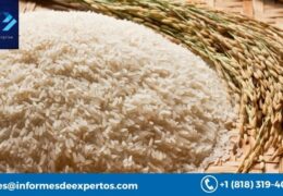 Latin America Rice Market Size, Growth, Price, Share 2023-2028
