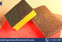 Sponge And Scouring Pads Market Size, Share, Price, Growth, Analysis, Report and forecast 2023-2028