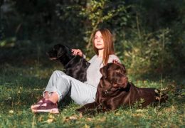 Your Trusted Labrador Breeder in Washington State
